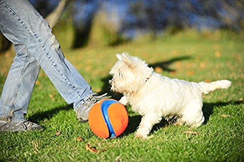 Chuckit! 251101 Kick Fetch Balón de Fútbol para Perros, S