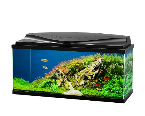 Ciano Acuario de cristal tropical con 80 LED, incluye filtro, luces