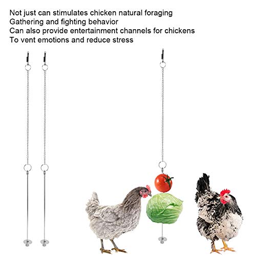 Cikonielf 2 uds, Pollo para Mascotas, Acero Inoxidable, Frutas, Verduras, maíz, Tenedor, Herramienta de Comida, alimentador Colgante para gallinas y pájaros