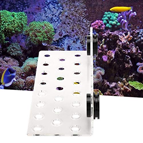 Cikonielf Coral Rack Acuario de acrílico magnético Coral Frag Rack Soporte Base Transparente Tanque de Peces Coral Frag Holder Soporte(23 Hole)