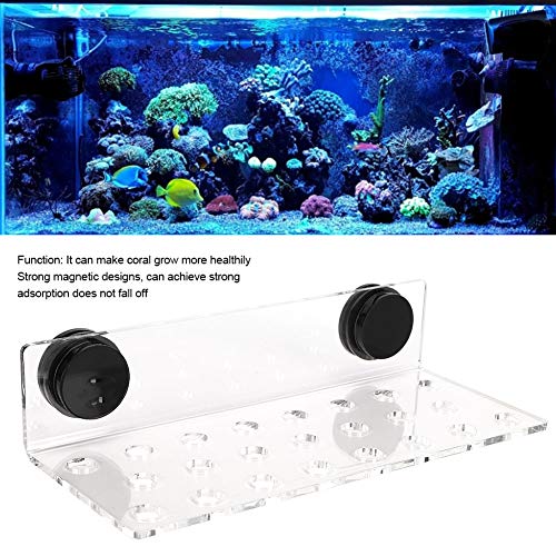 Cikonielf Coral Rack Acuario de acrílico magnético Coral Frag Rack Soporte Base Transparente Tanque de Peces Coral Frag Holder Soporte(23 Hole)