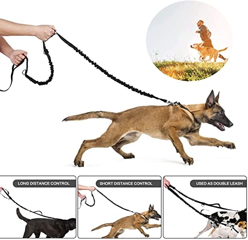 Cinturón Canicross para perro con bolsa de goldinou - Correa Running Perro Correa Manos Libres para Perros - Correa de Jogging para Perros