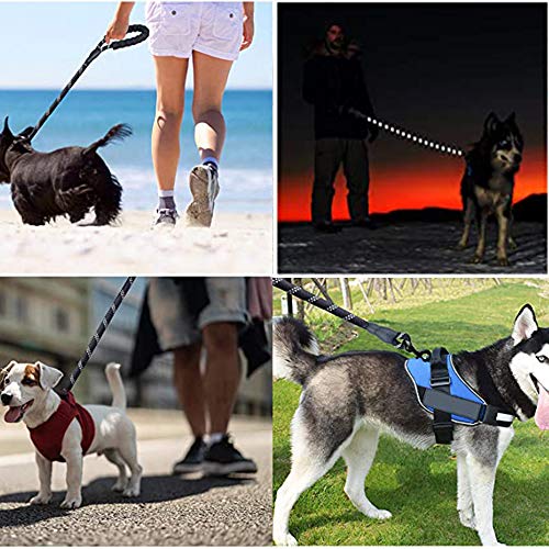 CINY 2 Piezas De Correas para Perros, Duradera Correa De Nailon para Perros con Mango Acolchado Suave e Hilos Altamente Reflectantes para Perros Pequeños, Medianos y Grandes (5 FT, Azul + Negro)