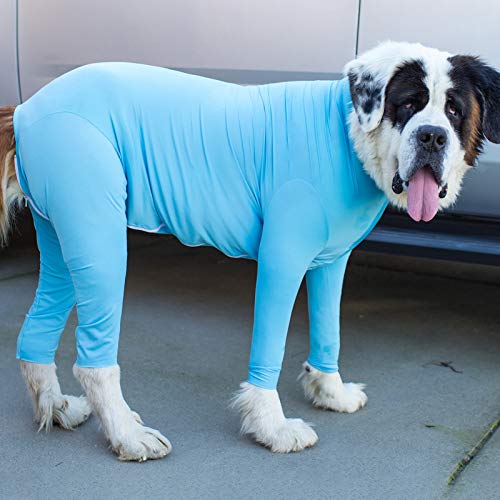 CJFael Perros Sudaderas con Capucha Mascota Cachorro Abrigo Ropa, Invierno Perro Pijama Ropa De Dormir Cálida Elástica Ropa Deportiva Lavable Tela para Mascotas Lago Azul M