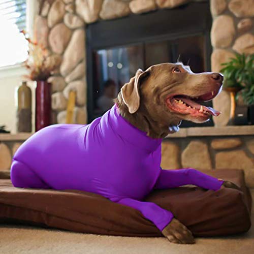 CJFael Perros Sudaderas con Capucha Mascota Cachorro Abrigo Ropa, Invierno Perro Pijama Ropa De Dormir Cálida Elástica Ropa Deportiva Lavable Tela para Mascotas Lago Azul M