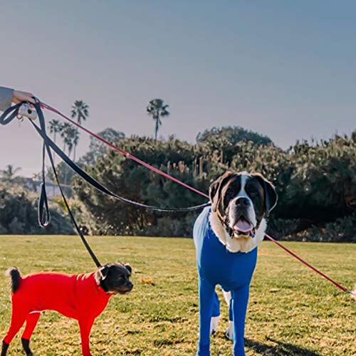 CJFael Perros Sudaderas con Capucha Mascota Cachorro Abrigo Ropa, Invierno Perro Pijama Ropa De Dormir Cálida Elástica Ropa Deportiva Lavable Tela para Mascotas Lago Azul M