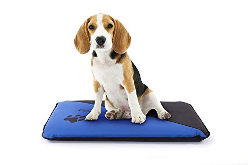 Colchoneta Personalizada para Perros - Impermeable y Resistente - Colchón para Perro Grande, Pequeño y Mediano - Exterior e Interior - Cama Antimordeduras (M - 90 x 60 x 6 CM, Azul)