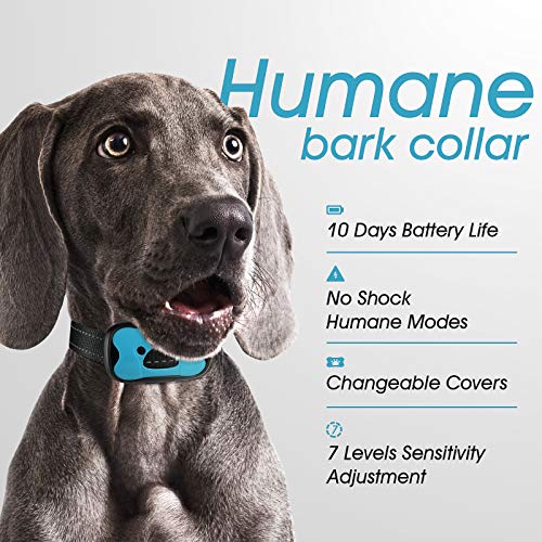 Collar Antiladridos de Perro Recargable para Pequeño Medianos Grandes Sonido Humano Ajustable y Modo de Vibración para Entrenar Perros Ajuste de Sensibilidad de 7 Niveles - Azul