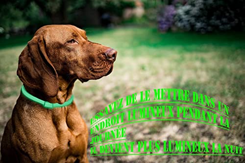 Collar Antiparasitario para Perro, Collar Luminoso Perro para contra Garrapatas y Mosquitos, Tamaño Ajustable e Impermeable para Mascota Pequeño Mediano Grandes