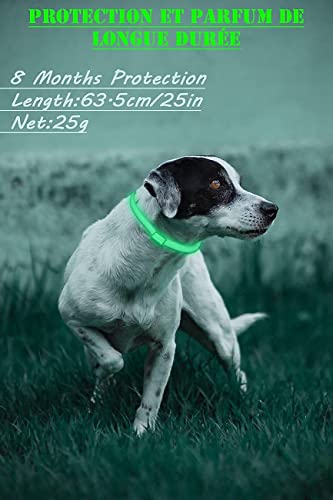 Collar Antiparasitario para Perro, Collar Luminoso Perro para contra Garrapatas y Mosquitos, Tamaño Ajustable e Impermeable para Mascota Pequeño Mediano Grandes