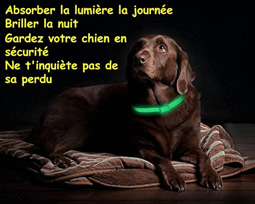 Collar Antiparasitario para Perro, Collar Luminoso Perro para contra Garrapatas y Mosquitos, Tamaño Ajustable e Impermeable para Mascota Pequeño Mediano Grandes