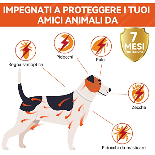 Collar Antiparasitario Perros, Collare Antizecche per Cani Realizzati con Tutti Gli Ingredienti Naturali, 7 MESI Efficaci, Collar Antiparasitario Perros di Piccola, Media e Grande Taglia (1pack)