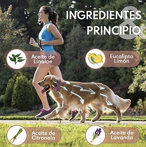 Collar Antiparasitos Perros Natural contra Pulgas,Garrapatas y Mosquitos,Tamaño Ajustable e Impermeable para Mascota Pequeño Mediano Grandes (Morado)