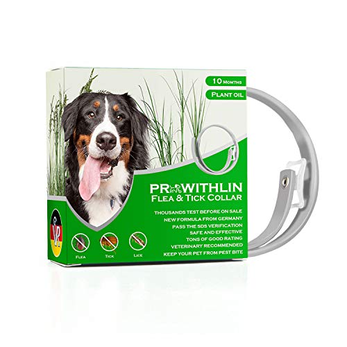 Collar Antipulgas para Perros, 10 Meses de Protección, Collar Antipulgas para Perros 62cm Natural para Animales Pequeños y Medianos