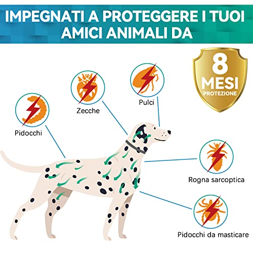 Collar Antipulgas Perros, Seguro y Eficaz Collar Antiparasitario Perros Hecho de Aceites Esenciales 100%, Collares Antipulgas para Perros de 8 Meses de Eficacia para Perros de Todos Los Tamaños