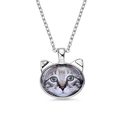 Collar de cabeza de gato Collar de mascota Collar de foto Collar de animal personalizado Etiqueta de perro con texto tallado(Plata 14)