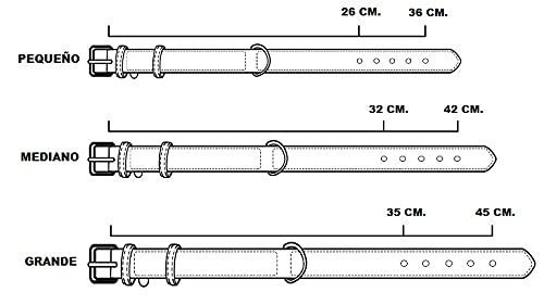 Collar De Cuero para Perros | Collar Perro | Collar Piel | Collar Bandera España (Mediano - Contorno Cuello 32 A 42 CMS.)