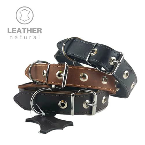 Collar de Cuero para Perros, marrón Oscuro XS, S, M, L, XL, XXL Hecho a Mano en Lituania (XL (40-50 cm))