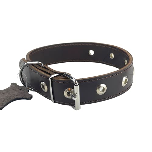 Collar de Cuero para Perros, marrón Oscuro XS, S, M, L, XL, XXL Hecho a Mano en Lituania (XL (40-50 cm))