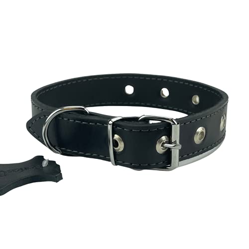 Collar de Cuero para Perros, Negro XS, S, M, L, XL, XXL Hecho a Mano en Lituania (XL (40-50 cm))