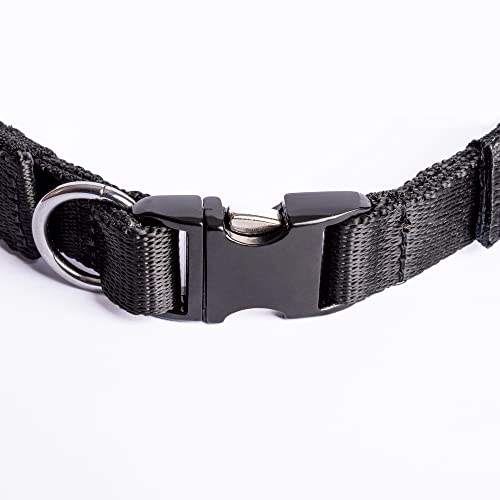 Collar de Fuerza SK9 con púas de Acero Cromado y Hebilla Metálica. para Adiestramiento, Antitirones (56 cm)