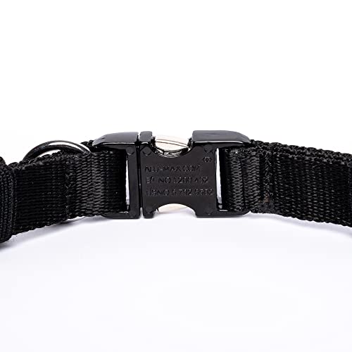 Collar de Fuerza SK9 con púas de Acero Cromado y Hebilla Metálica. para Adiestramiento, Antitirones (56 cm)