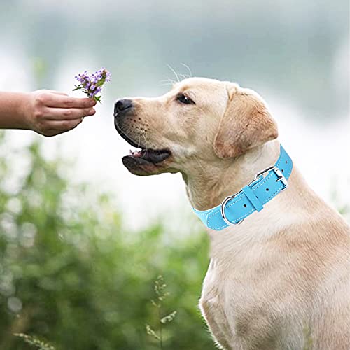 Collar de Perro Ajustable de Cuero Genuino con Collares Acolchados Suaves y Gruesos, Ideal para Perros pequeños y medianos (Azul) (L)