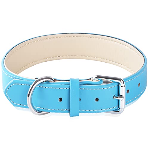 Collar de Perro Ajustable de Cuero Genuino con Collares Acolchados Suaves y Gruesos, Ideal para Perros pequeños y medianos (Azul) (L)