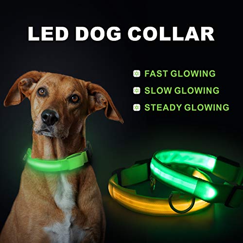 Collar de Perro LED Baytion Collar de Perro Luminoso Recargable USB con Collar Intermitente Recargable e Impermeable (Small(34-41cm/5-15kg Dogs))