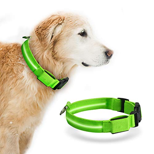 Collar de Perro LED Baytion Collar de Perro Luminoso Recargable USB con Collar Intermitente Recargable e Impermeable (Small(34-41cm/5-15kg Dogs))