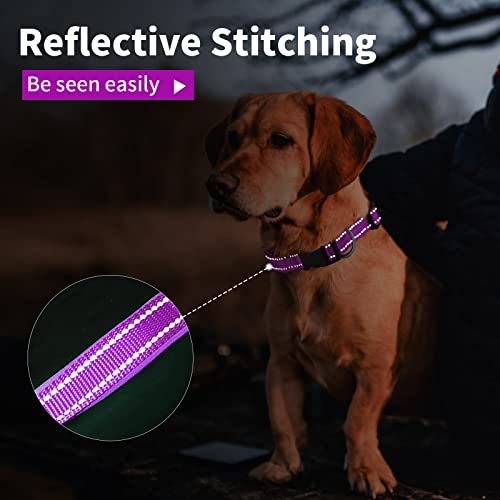 Collar de Perro Suave Acolchado Neopreno Ajustable Collares Reflectantes para Mascotas para Perros PequeñOs Medianos Grandes - Morado - L