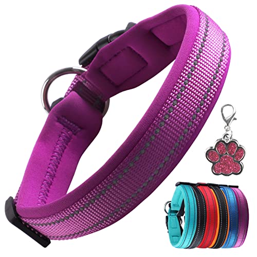 Collar de Perro Suave Acolchado Neopreno Ajustable Collares Reflectantes para Mascotas para Perros PequeñOs Medianos Grandes - Morado - L