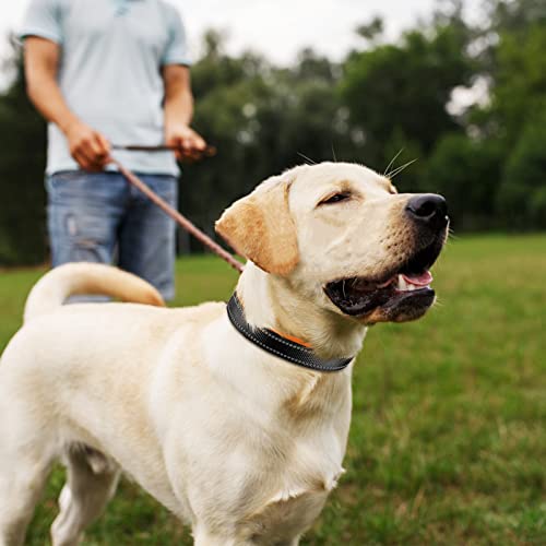 Collar de Perro Suave Acolchado Neopreno Ajustable Collares Reflectantes para Mascotas para Perros PequeñOs Medianos Grandes - Naranja - XS