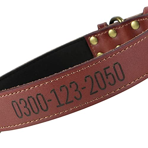 Collar de Perro Tapizado de Cuero Personalizado Collar de Perro Marrón con Nombre de Mascota y Número de Teléfono Grabados Adecuado para Perros Pequeños Medianos Grandes