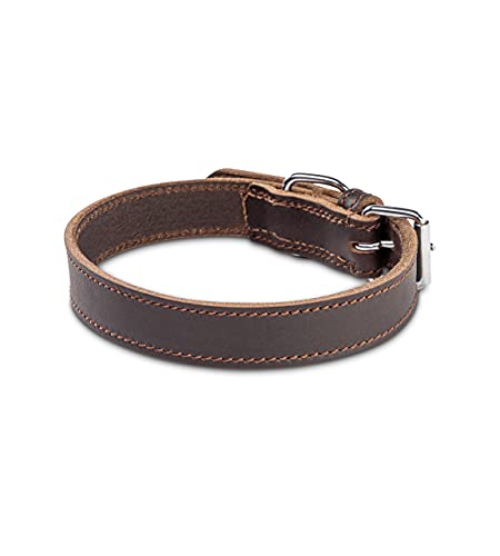 Collar de piel para perros, color marrón oscuro (M)