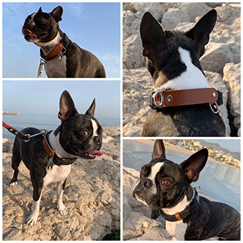 Collar Educativo para Perros , Hecho en España, Nylon Trenzado, Abrazadera de Cuero, Tacto Suave, Antitirones y Resistente, Entrenamiento para Perros Pequeños, Medianos y Grandes. XL