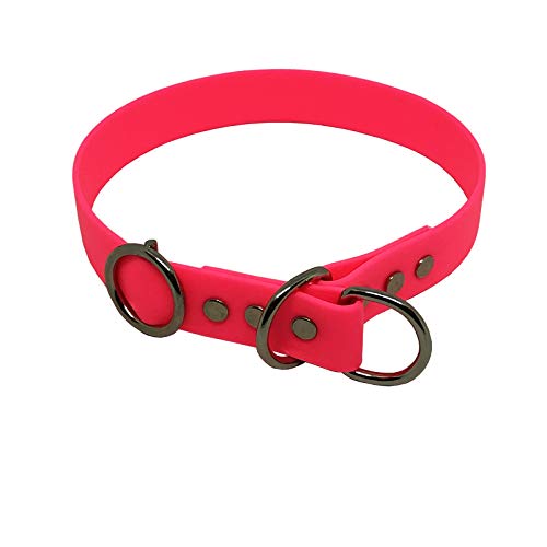 Collar & Leash C&L BioThane® PK521 - Collar para perro (25 mm, 55 cm), color rosa neón