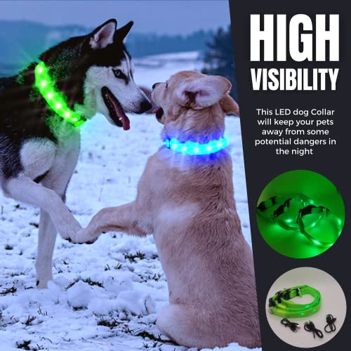 Collar Luminoso para Perro, led, Reflectante, para Perro pequeño Mediano y Grande, tamaño Ajustable, bateria Impermeable y Recargable, Collares electricos Luminosos (M, Verde)