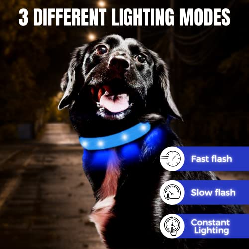 Collar Luminoso para Perro, led, Reflectante, para Perro pequeño Mediano y Grande, tamaño Ajustable, bateria Impermeable y Recargable, Collares electricos Luminosos (S, Azul)