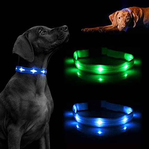 Collar Luminoso para Perro, led, Reflectante, para Perro pequeño Mediano y Grande, tamaño Ajustable, bateria Impermeable y Recargable, Collares electricos Luminosos (S, Azul)