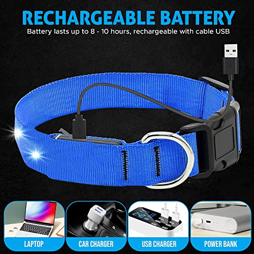 Collar Luminoso para Perro, led, Reflectante, para Perro pequeño Mediano y Grande, tamaño Ajustable, bateria Impermeable y Recargable, Collares electricos Luminosos (L, Azul)