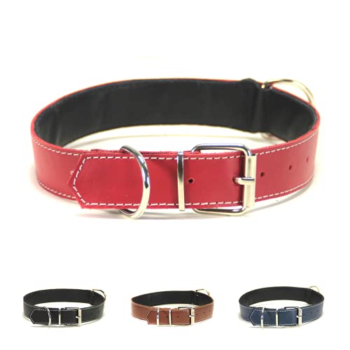 Collar para Perro de Piel, Perros pequeños, medianos y Grandes, Ancho y Resistente, Collares en Color marrón, Azul Marino, Negro y Rojo (L: Ajustable 36 - 46 CM, Ancho 2,5 CM, Rojo)