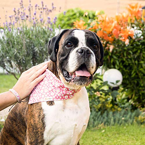 Collar para perros con bandana y brazalete de amistad marca Pettsie