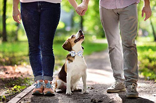 Collar para perros, pajarita, para niñas, collar para cachorros, diseño de flores, collar para cachorros personalizado, collar para perros con arco para perros grandes, medianos y pequeños