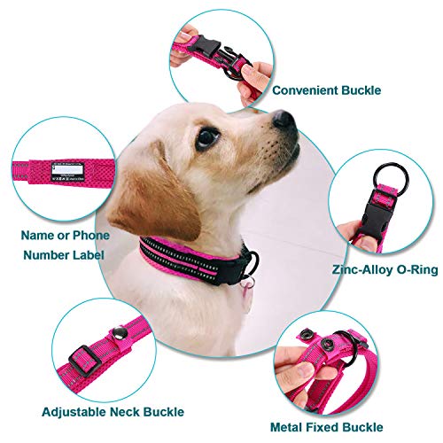 Collar para Perros Pequeños Grandes Medianos Reflectante Suave Acolchado Impermeable Ajustable Transpirable con Etiqueta de Nombre para Caminar Correr Trekking Entrenamiento (Rosa, XS)