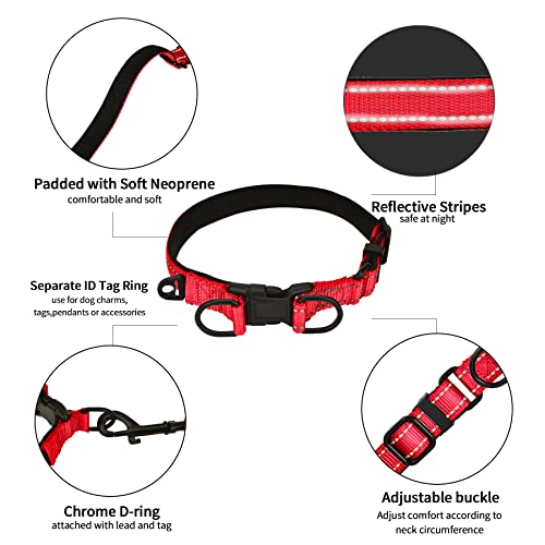 Collar Perro Ajustable,con Correa Perro,Collar Nylon Reflectante,1.2m Correas para Perros, para Caminar Correr Entrenamiento,para Perros Pequeños,Rojo,2.0cm De Ancho