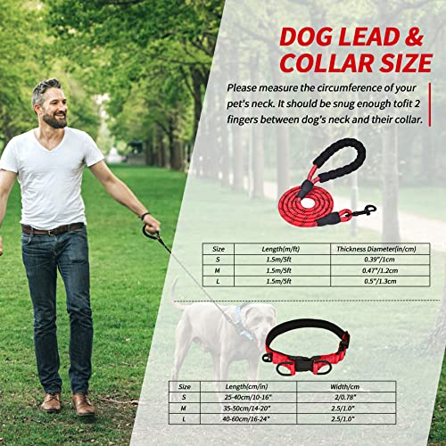 Collar Perro Ajustable,con Correa Perro,Collar Nylon Reflectante,1.2m Correas para Perros, para Caminar Correr Entrenamiento,para Perros Pequeños,Rojo,2.0cm De Ancho