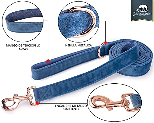 Collar Perro Pequeño con Correa y Colgante de luz. Set Completo de Terciopelo Suave para Perros, Gatos y Cachorros.