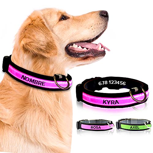 Collar Perro Personalizado con LED, Collar para Perro Luminoso y Personalizado con Nombre y teléfono, Tamaño Ajustable para Perros Pequeños Medianos Grandes (M, Rosa con Nombre)