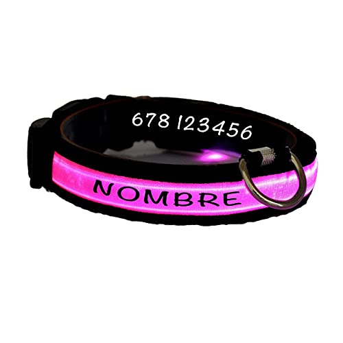 Collar Perro Personalizado con LED, Collar para Perro Luminoso y Personalizado con Nombre y teléfono, Tamaño Ajustable para Perros Pequeños Medianos Grandes (M, Rosa con Nombre)